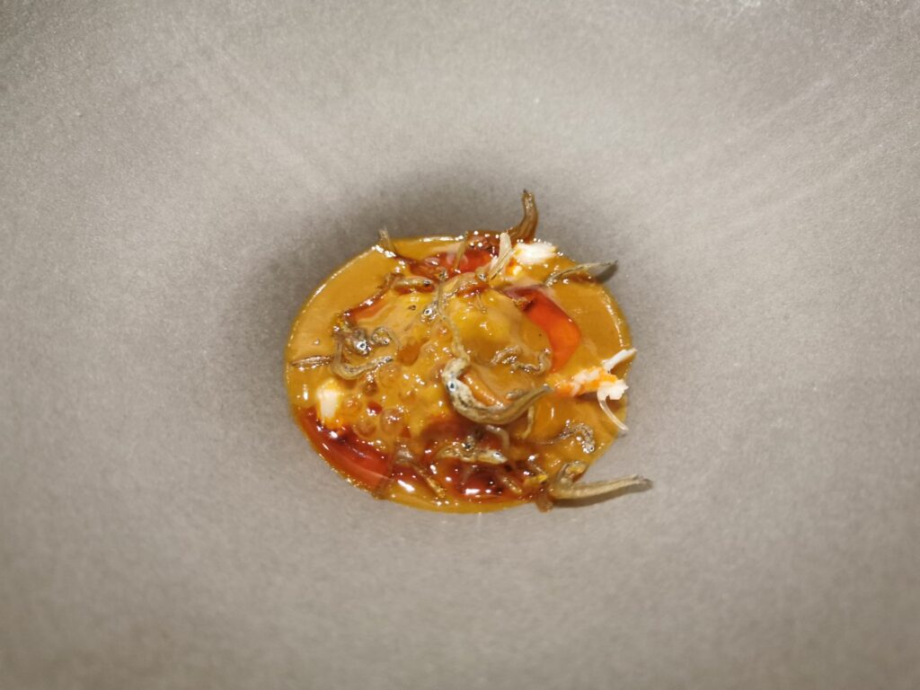 Laksa – granciporro, uova di trova e niboshi