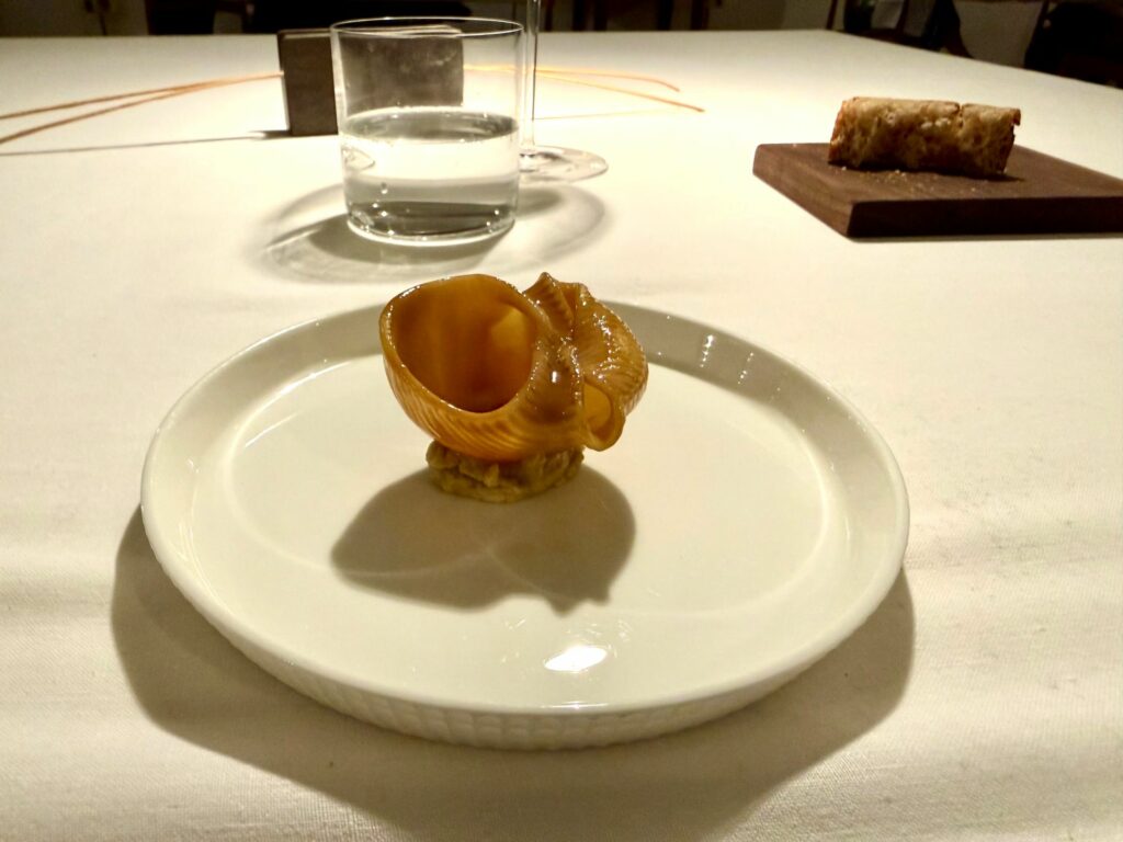 Pasta al forno e verza