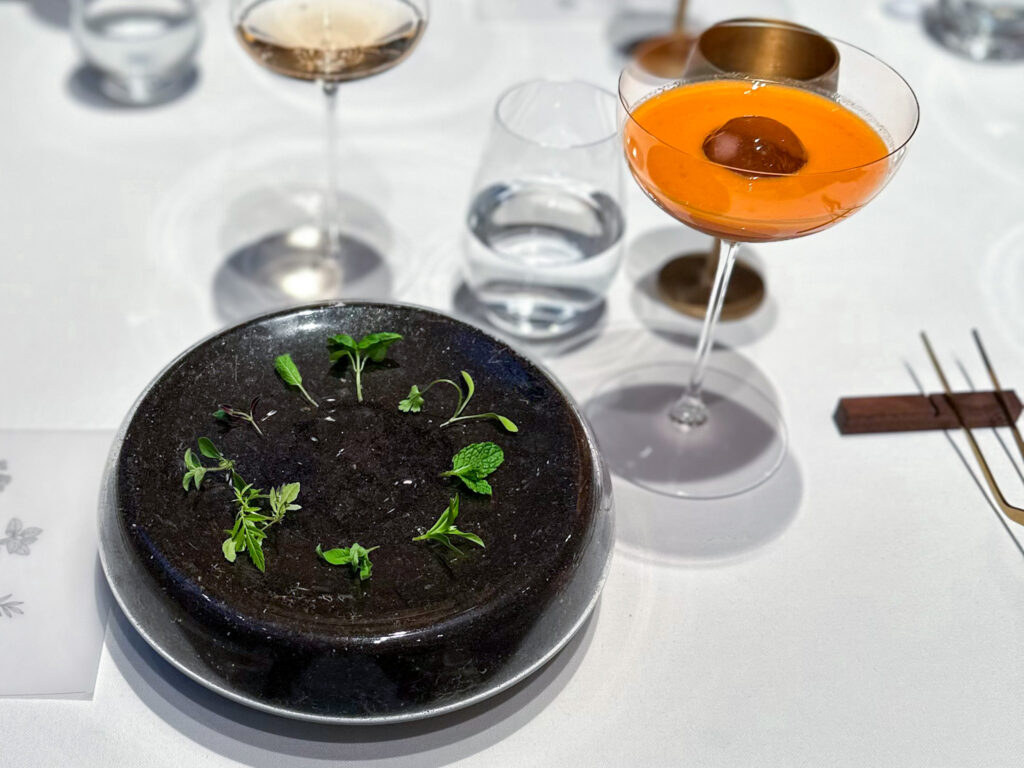 Sapienza e concentrazione del sapore: erbe aromatiche del ristorante disfrutar